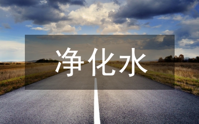 凈化環境及網吧整治工作講話