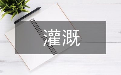 灌溉水庫管理對策改革論文
