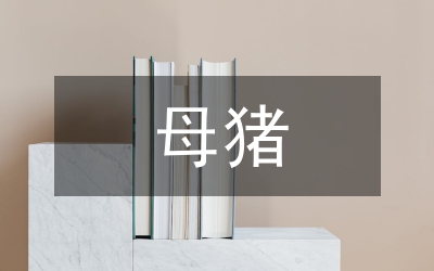 能繁母豬保險實行方案