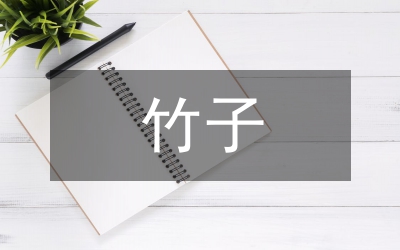 竹子公園規(guī)劃設(shè)計(jì)論文
