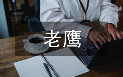 老鷹捉小雞游戲