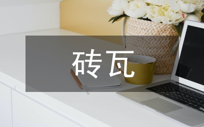 粘土磚瓦窯會議講話