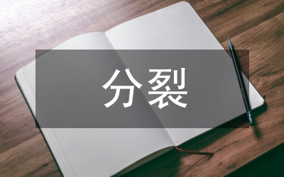 類分裂的代碼混淆技術(shù)論文