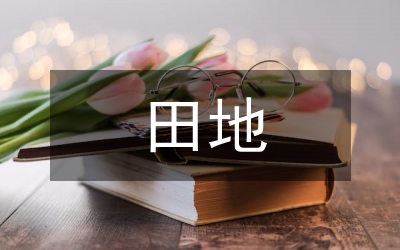 關于成立低產田地整治領導組的通知
