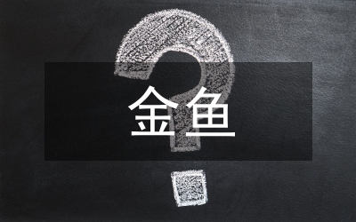 拯救金魚