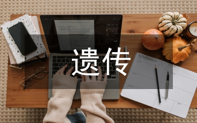 非遺傳承工藝