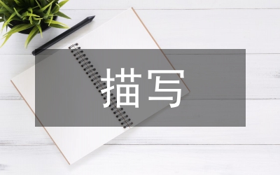 描寫美術論文