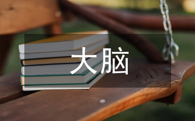 大腦半球缺血性研究論文
