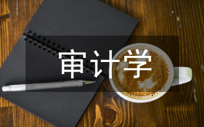 審計學會工作總結