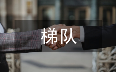 人才培養及梯隊建設實施方案