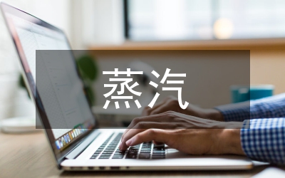 蒸汽流量