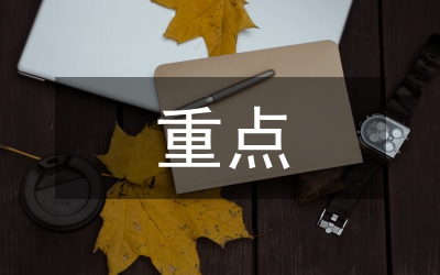 重點項目工作會領導講話材料