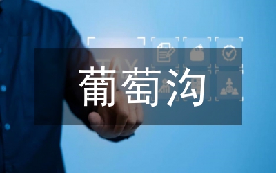 葡萄根瘤蚜生物學(xué)特征分析