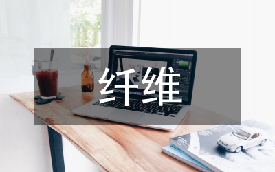 纖維瀝青混凝土研究論文