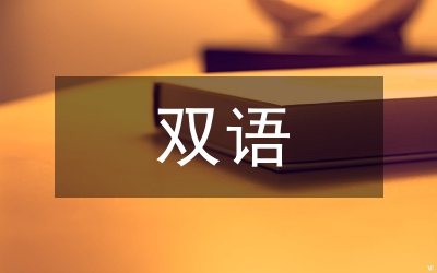 蒙漢雙語訴訟程序性保障措施論文