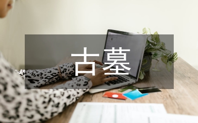 嚴打盜掘古遺址古墓葬犯罪工作方案