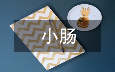 外傷性小腸破裂研究論文