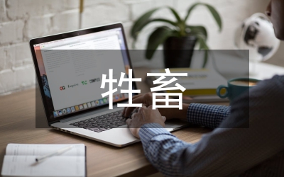 牲畜市場