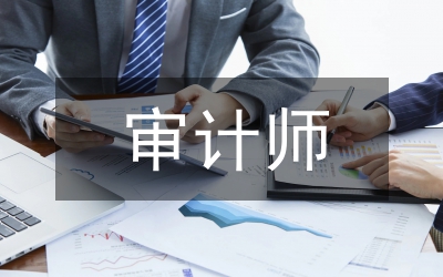 審計師論文