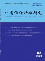 印度洋經(jīng)濟(jì)體研究